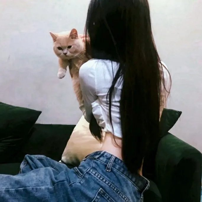 佐利的成长